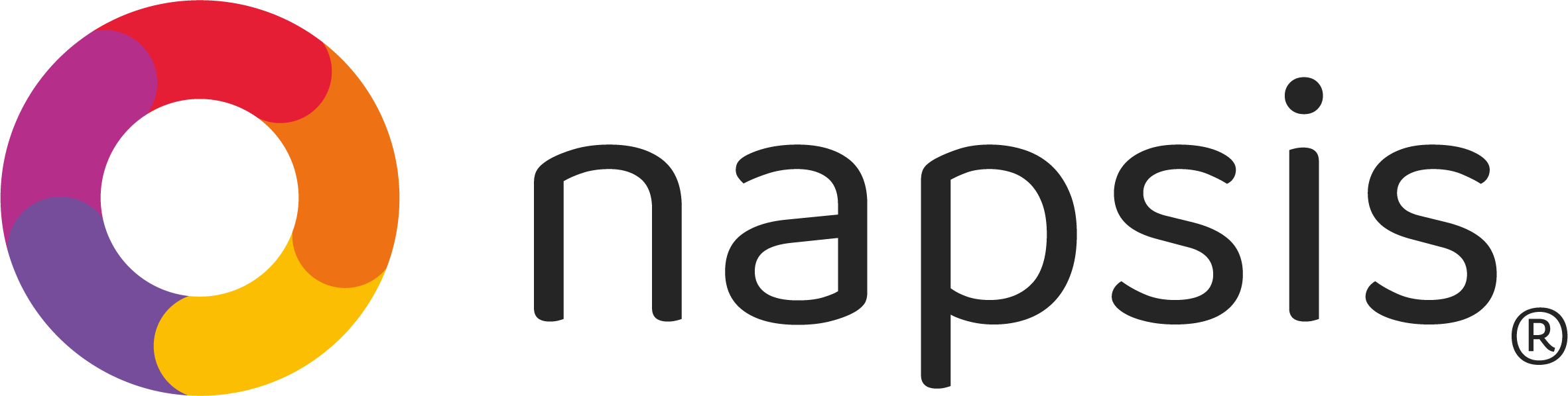 Logo napsis nuevo horizontal color